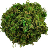 Popxstar Artificial Moss Green for Potted Plant Orchid Potting Mix Peat Moss Pole Craft