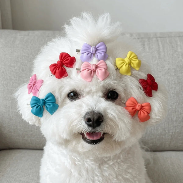 Hair Clips