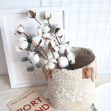 Popxstar 1 PCS 10 Heads Dried Cotton Flower Simple Handmade Artificial Plants Creative Natural False Floral Branch