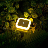 Popxstar Wireless LED Night Light Sensor Lighting Mini EU/US Plug Night Lights For Children Room Bedroom Living Room Decoration Lighting