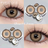 1 Pair Color Contact Lenses for Eyes Color Eye Lens Brown Eye Lenses  Gray Pupils Lens Yearly Black Contacts