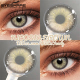 Colored Contact Lenses for Eyes 1Pair Natural Gray Contacts Blue Eye Makeup Lens Brown Eyes Contact Yearly Green Lenses