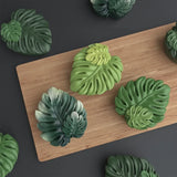Turtle Backed Bamboo Leaves Silicone Mold for Handmade Secure Soap Resin Crafts DIY Botanical  Artisan Creative Design Clay Mold
