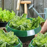 Popxstar  Plants Snail Protection Rings Vegetable Green Planter Flower Pot Pest Control Trapper Repel Snails Garden Protects Animal Tool