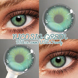 Colored Contact Lenses for Eyes 1Pair Natural Gray Contacts Blue Eye Makeup Lens Brown Eyes Contact Yearly Green Lenses