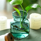 Popxstar Glass Table Vase Creative Flower Vase Decorative Glass Bottles Clear Glass Vases for Centerpieces Home Decor Nordic Vase