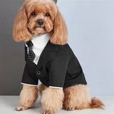 New Summer Pet Apparel: Classic Casual Two-Piece Suit for Teddy, Bichon, and Small Dogs