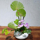 Ceramic Small Water Drop Flower Pot Vase Japanese Ikebana Flower Arrangement Device Zen Tea Table Desktop Utensils Ceramic Tools