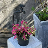 Rustic Metal Faucet Flowerpot Crack Resistant Artistic Garden Flower Pot Corrosion-Resistant Retro Vintage Flowerpot