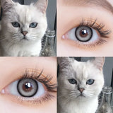 1 Pair Korean Color Contact Lenses with Natural Eye Contact Lenses Blue Brown Green Lenses Pupils Beauty Color lens