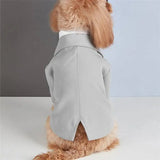 New Summer Pet Apparel: Classic Casual Two-Piece Suit for Teddy, Bichon, and Small Dogs