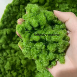 Popxstar 3MM Static Grass Powder Turf Flocking Nylon Materials Diy Building Sand Table Model Scene Layout Diorama Kits 30G/60G