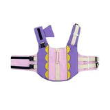 Dog Swimsuit Pet Life Jacket Summer Super Buoyancy Suit Small Medium Dogs Water Play Puppy Beach Swimsuit Corgi