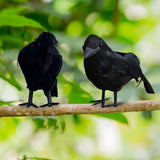 Popxstar Simulation Horrible Crow Figurines Creative Craft Photography Props for Living Room Bedroom Decor