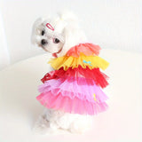 Summer  Spring Dog skirt thin Teddy bear small pet clothes colorful gradient Pompadour princess skirt