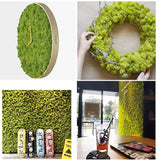 Popxstar 40g Simulation Artificial Moss Green Eternal Life Moss Grass Fake Plant For Home Wall Decor Garden Micro Landscape Material Gift