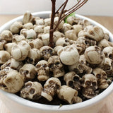 Popxstar 20pcs Mini Skulls Halloween Garden Decoration Bonsai Courtyard Ornam Small Skeleton Head Flowerpot Decor Realistic Skull Crafts