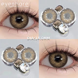 1 Pair Color Contact Lenses for Eyes Color Eye Lens Brown Eye Lenses  Gray Pupils Lens Yearly Black Contacts