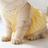Dog Fresh Solid Color Daisy Lace Collar Sling Dress Light Airy Waffle Fabric Daily Walking Princess Outfit