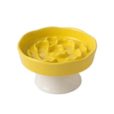 Elevated Cat Bowls Ceramic Slow Feeder Bowls Neck Protection Non-Slip Spill-Resistant for Dogs Cats Water Bowl