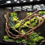 Popxstar Large Flexible Vines Rattan Habitat Decoration Bendable Jungle Branches Climb Pet Supplies Reptiles Terrarium Decor 1.5/2.5/3m