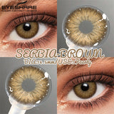 Colored Contact Lenses for Eyes 1Pair Natural Gray Contacts Blue Eye Makeup Lens Brown Eyes Contact Yearly Green Lenses