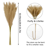 Popxstar  10pcs Fluffy Pampas Grass Artificial Simulation Plant Flowers  for Wedding Boho Bouquet Home Party Decoration Reed Floral Decor