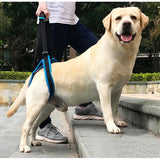 Popxstar  Adjustable Dog Lift Harness Pet Support Sling Pet Dogs Aid Assist Tool for Old Dogs for Back Legs Help Weak Legs Stand Up