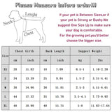 Puppy Suspenders Summer Cooling Vest for Dogs Dog Costume Cute Girls Dog Clothes Bichon Chihuahua Clothing Pet Outfit Dog Vests