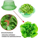 Popxstar  Plants Snail Protection Rings Vegetable Green Planter Flower Pot Pest Control Trapper Repel Snails Garden Protects Animal Tool