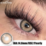 2pcs Colored Eyes Contact Lenses Blue Lentes de Contacto Natural Brown Pupilentes Gray EyesLense Green Beautiful Pupils