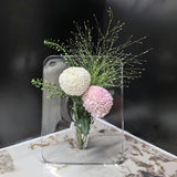 Popxstar Creative Photo Frame Vase Art Acrylic Hydroponic Flower Arrangement Device Transparent Vase Living Room Desktop Home Decoration