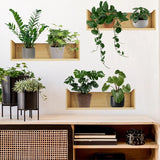 Popxstar Decorative Wall Stickers for Living Room Green Plant Plant Rack Self-Adhesive Wall Stickers