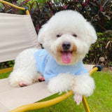 Blue Pearl Love Dog Sweater Spring Autumn Pet Knitted Clothes for Small Dog Teddy Cat Clothes Pet Soft Pullover Beautiful Supply