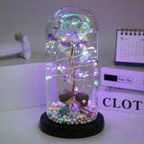 Popxstar  LED Enchanted Galaxy Rose Eternal Beauty And The Beast Rose With Fairy Lights In Dome Christmas Valentine's Day Gifts for Women