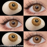 Popxstar New 1pair Colored Contact Lenses for Eyes Brown Contacts Lenses Fashion Blue Eyes Lenses Yearly Korean Gray Contacts