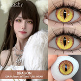 Popxstar  1Pair Cosplay Colored Contact Lenses for Eyes Halloween Lenses Red Eye Contacts Black Lenses Yearly Anime Cosplay Lens