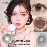 Popxstar  2pcs Colored Contact Lenses Brown Eyes Lenses Gray Lenses Blue Pupils Natural Eye Lens Colored Contacts Eye Cosmetics
