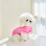 Pet Autumn Winter FashionLace Vest Flying Sleeve Breathable Dog Clothes Soft Cat Base Skirt Kitten Teddy Undershirt Cat T-shirt