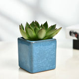 Jelly color Ice cracked glaze ceramic small flowerpot flower pot plant pot planter square home office desktop artwork ornament