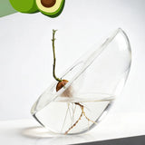 Popxstar  Avocado Shaped Hydroponics Home Vase Home Decor Glass Seed Planting Cultivation Container Table Decoration and Accessories Vases