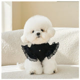 Pet Autumn Winter FashionLace Vest Flying Sleeve Breathable Dog Clothes Soft Cat Base Skirt Kitten Teddy Undershirt Cat T-shirt