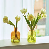 Popxstar 2pc Set Mini Vases Terrarium Hydroponic Plant Pot Glass Vase Wedding Flowers Candle Holders Decor Avocado Glass Growing Bud Vase