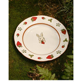 Specially Beautiful Plates for Home Use High Aesthetic Japanese Tableware Cute Plates