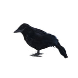 Popxstar Simulation Horrible Crow Figurines Creative Craft Photography Props for Living Room Bedroom Decor