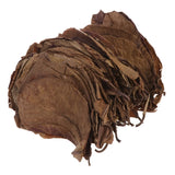 Popxstar 50pcs Natural Catappa Leaves Almond Leaf Fish Cleaning  Aquarium