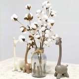 Popxstar 1 PCS 10 Heads Dried Cotton Flower Simple Handmade Artificial Plants Creative Natural False Floral Branch