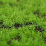 Popxstar Artificial Moss Carpet FineTurf Synthetic Grassland Fake Grass Lawn Roll Mat Faux Muscus Grass Outdoor Decoration Garden Decor