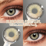 Colored Contact Lenses for Eyes 1Pair Natural Gray Contacts Blue Eye Makeup Lens Brown Eyes Contact Yearly Green Lenses