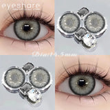 1 Pair Color Contact Lenses for Eyes Color Eye Lens Brown Eye Lenses  Gray Pupils Lens Yearly Black Contacts